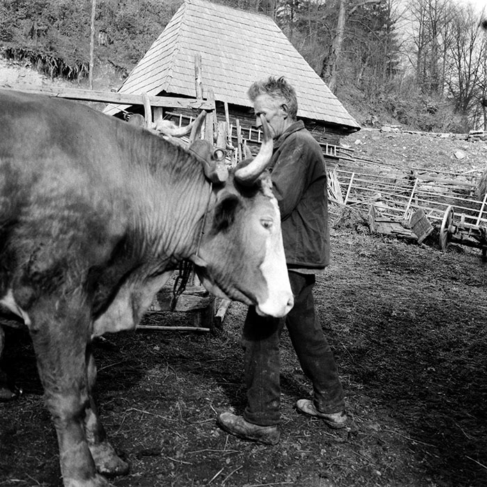 minerva_1985_c1_c8r4_005