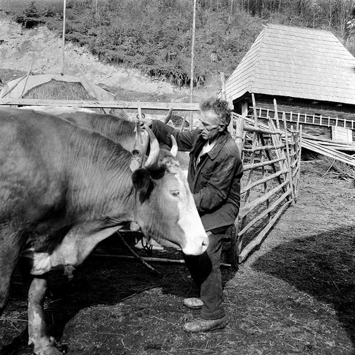 minerva_1985_c1_c8r4_006