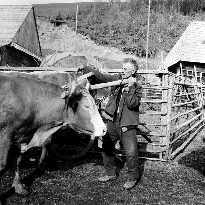 minerva_1985_c1_c8r4_007