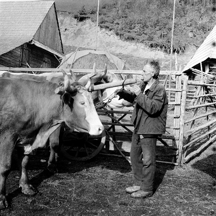 minerva_1985_c1_c8r4_008