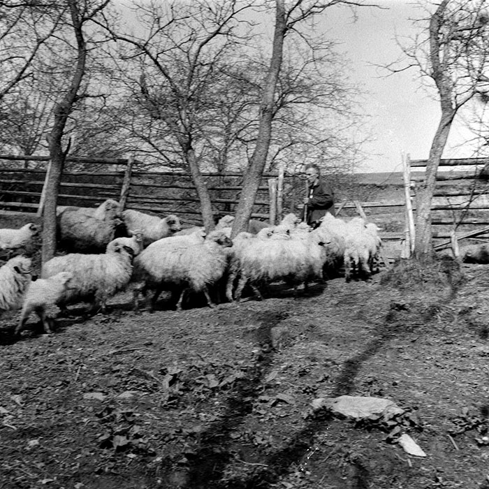 minerva_1985_c1_c8r4_010