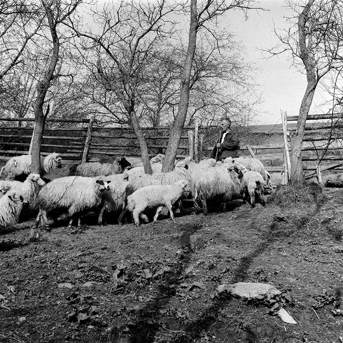 minerva_1985_c1_c8r4_011