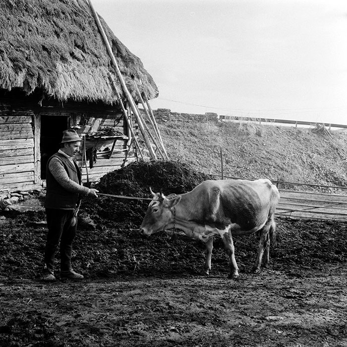 minerva_1985_c1_c8r4_015