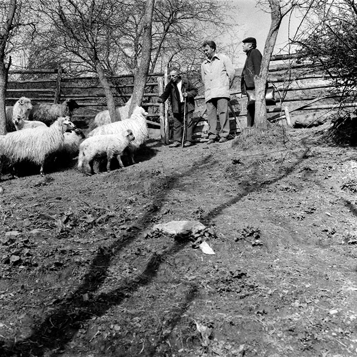 minerva_1985_c1_c8r4_021