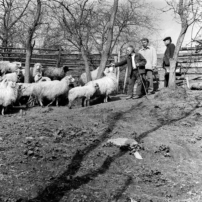 minerva_1985_c1_c8r4_022