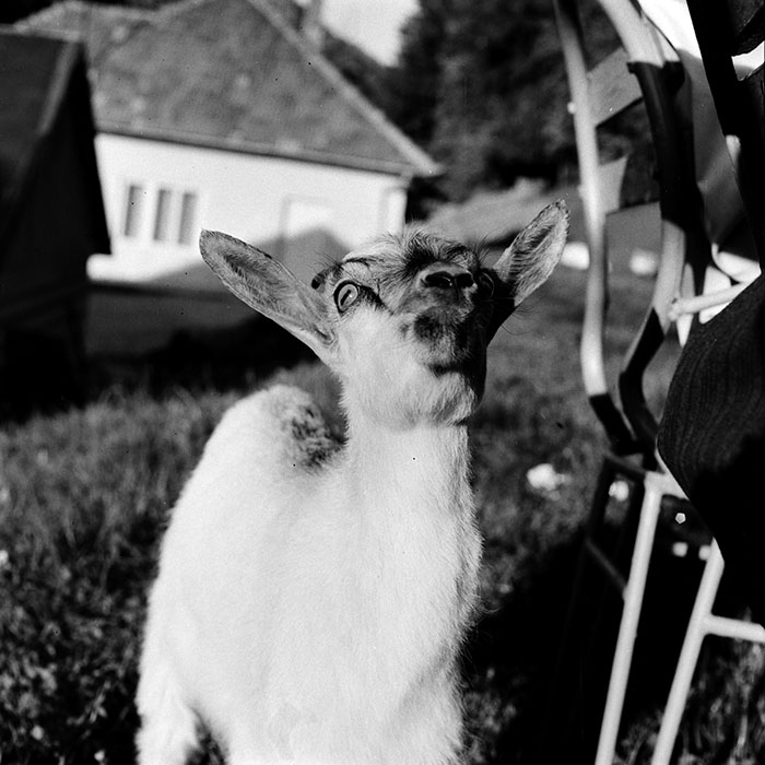 minerva_1985_c1_c9r2_006