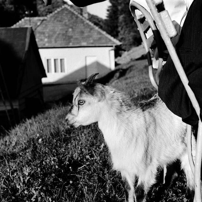 minerva_1985_c1_c9r2_007