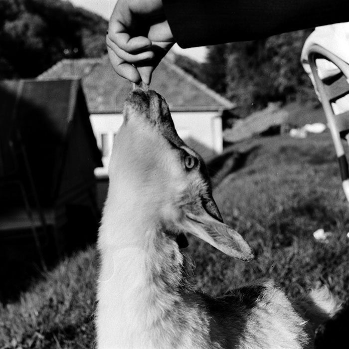 minerva_1985_c1_c9r2_008