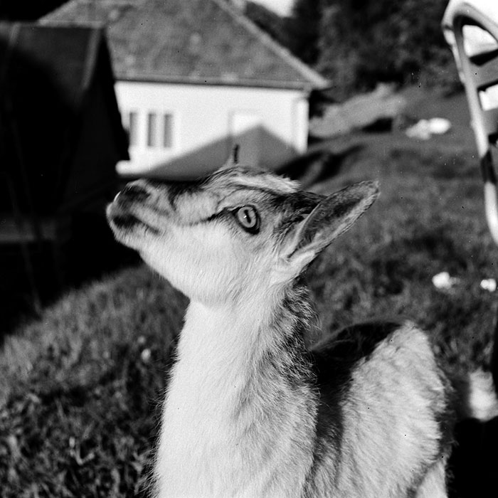 minerva_1985_c1_c9r2_009