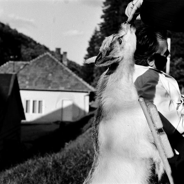 minerva_1985_c1_c9r2_010