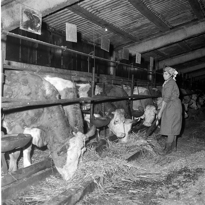 minerva_1985_c2_c1r1_004