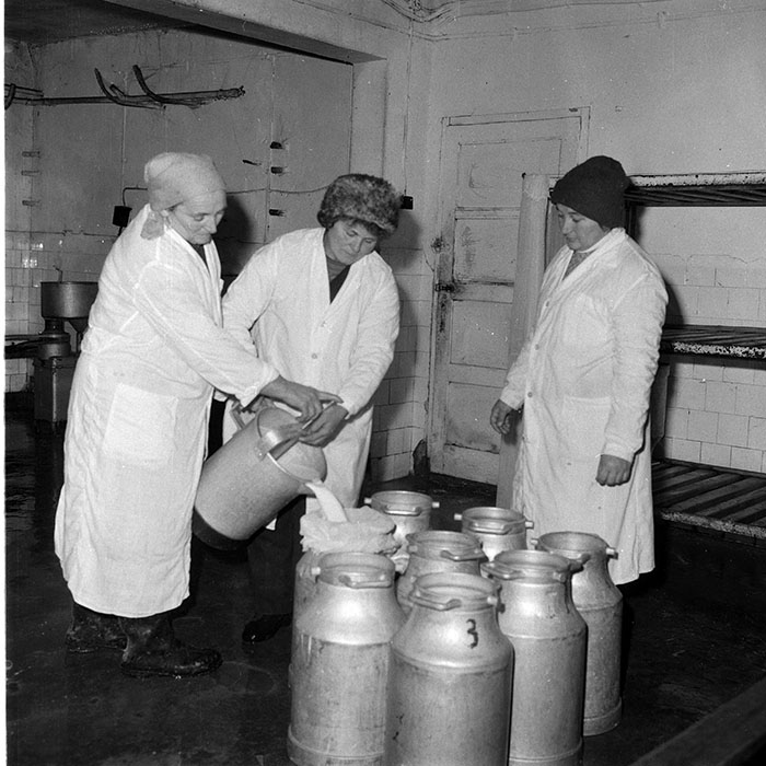 minerva_1985_c2_c1r1_005