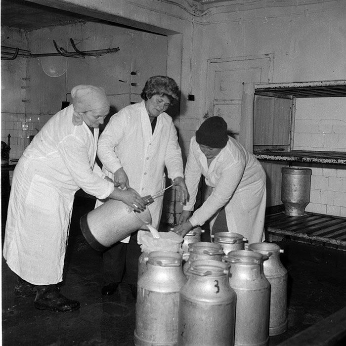 minerva_1985_c2_c1r1_006