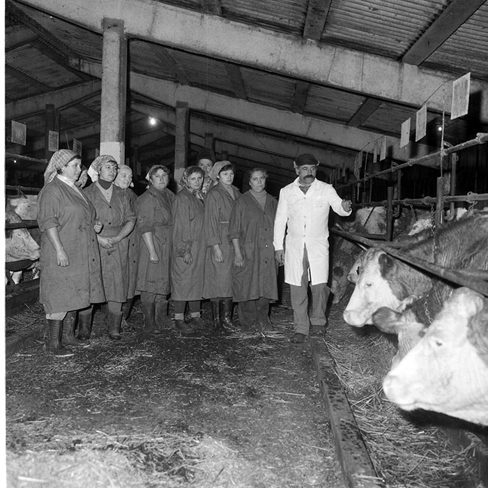 minerva_1985_c2_c1r1_007