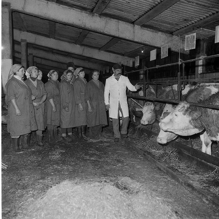 minerva_1985_c2_c1r1_008