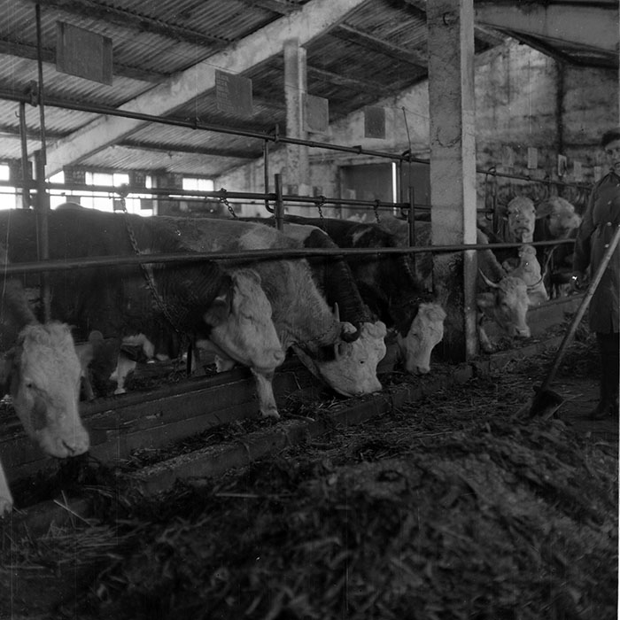 minerva_1985_c2_c1r1_022