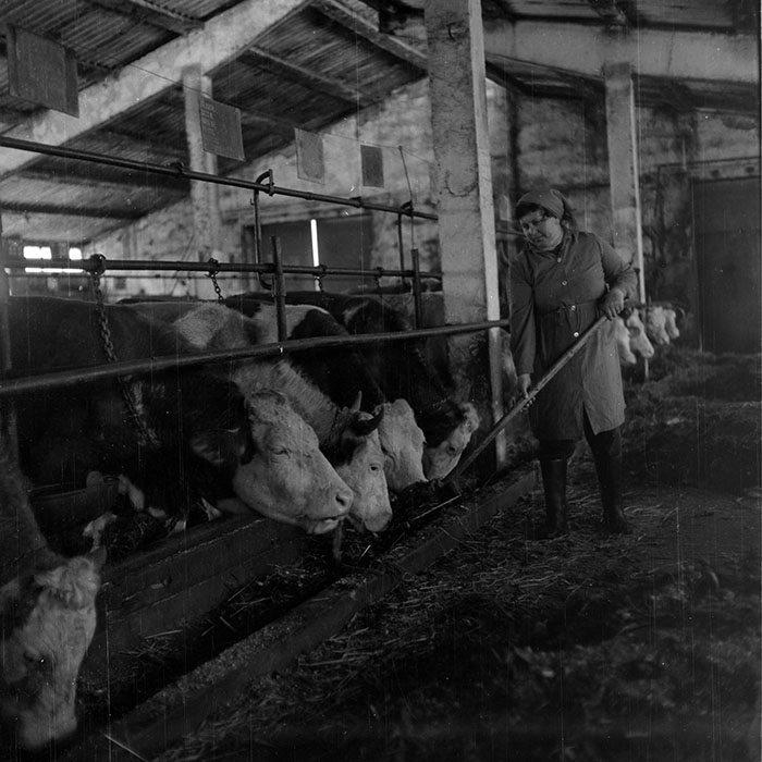 minerva_1985_c2_c1r1_023