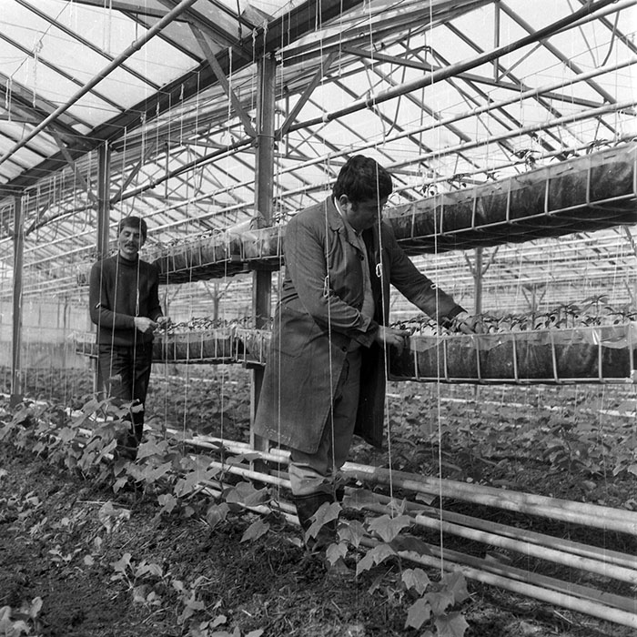 minerva_1985_c2_c1r1_026