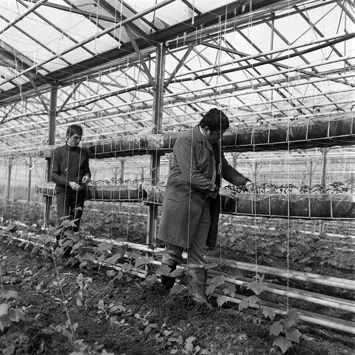 minerva_1985_c2_c1r1_027