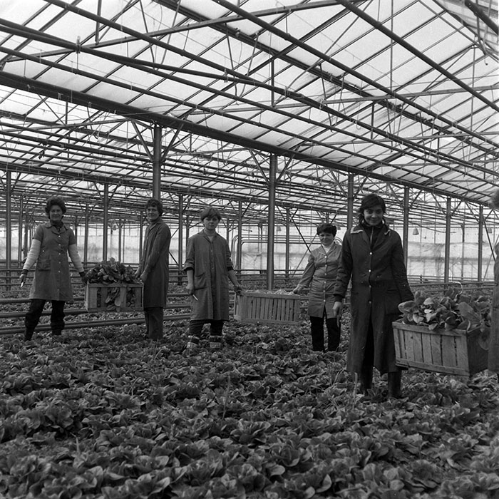 minerva_1985_c2_c1r1_031