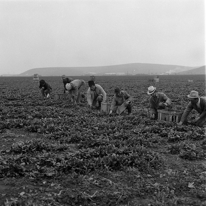 minerva_1985_c2_c1r1_035