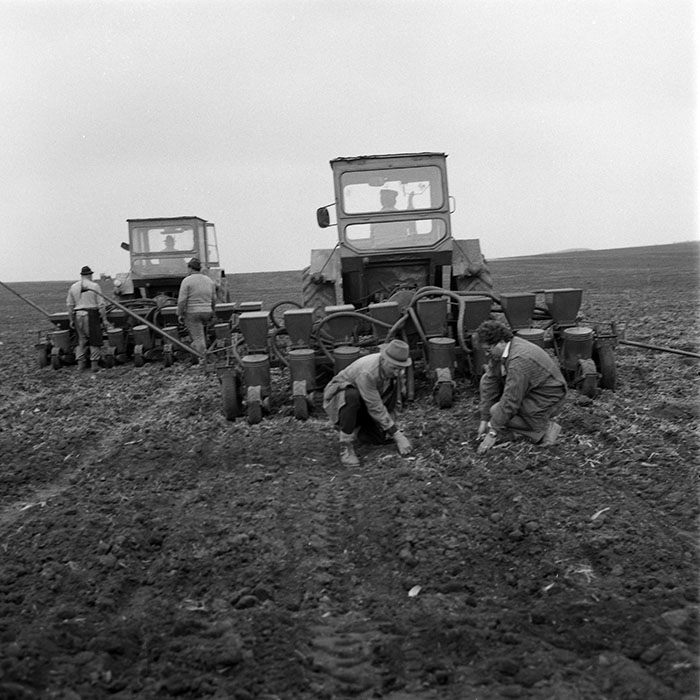 minerva_1985_c2_c1r1_038