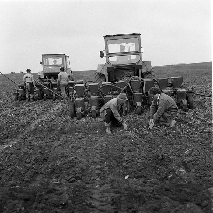 minerva_1985_c2_c1r1_039