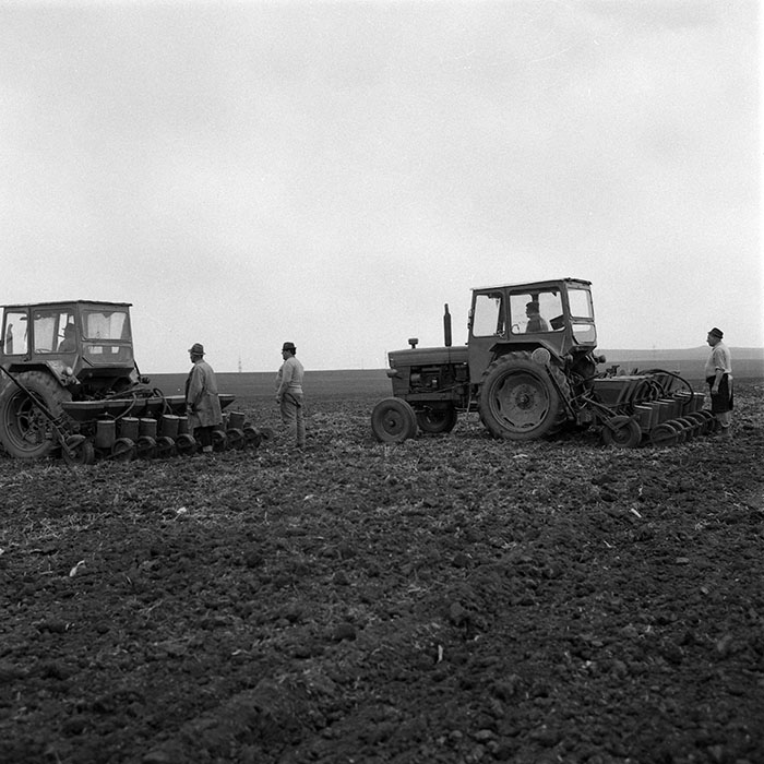 minerva_1985_c2_c1r1_040