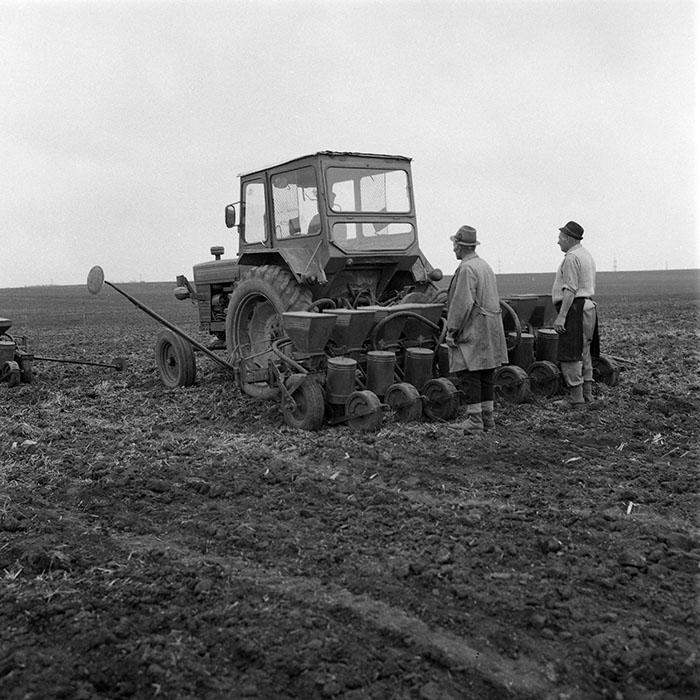 minerva_1985_c2_c1r1_041