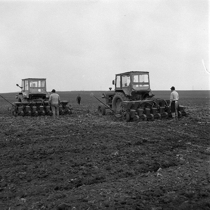 minerva_1985_c2_c1r1_042