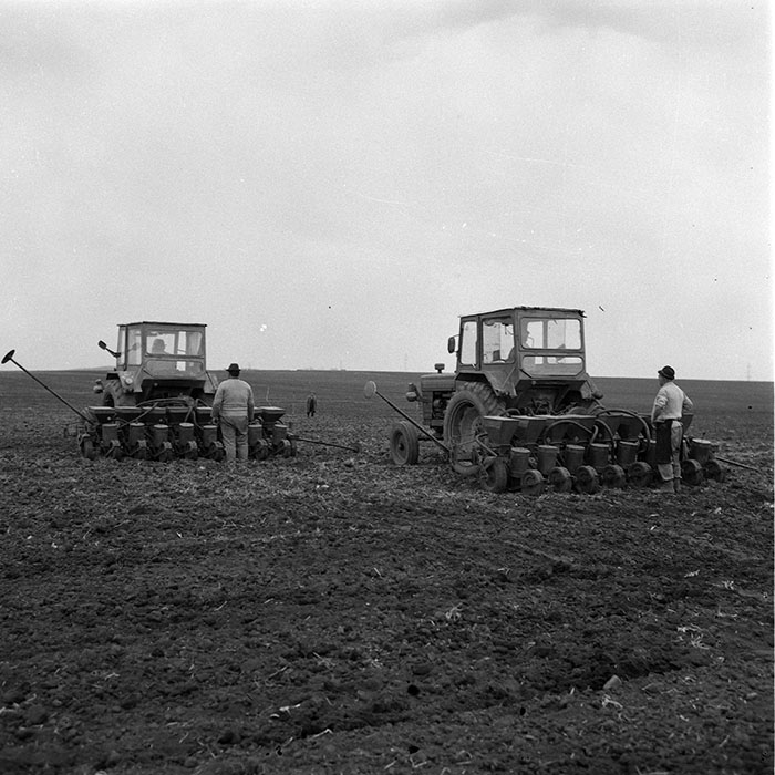 minerva_1985_c2_c1r1_043