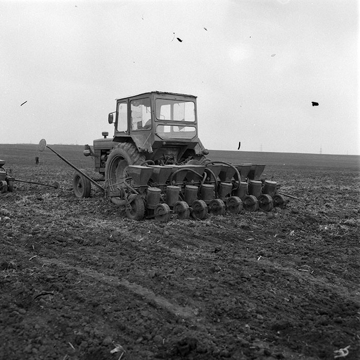 minerva_1985_c2_c1r1_044