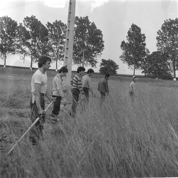 minerva_1985_c2_c1r2_001