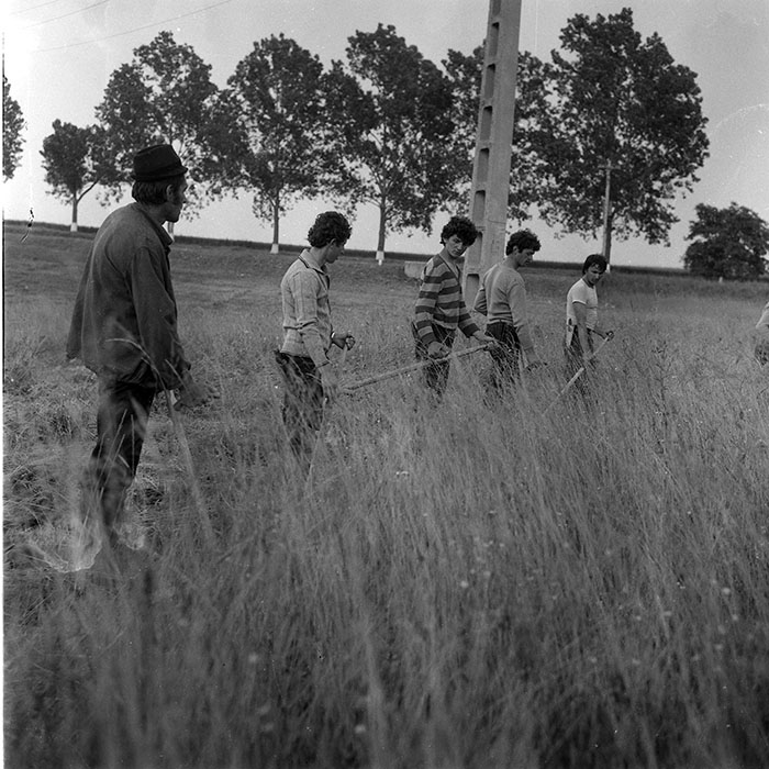 minerva_1985_c2_c1r2_002