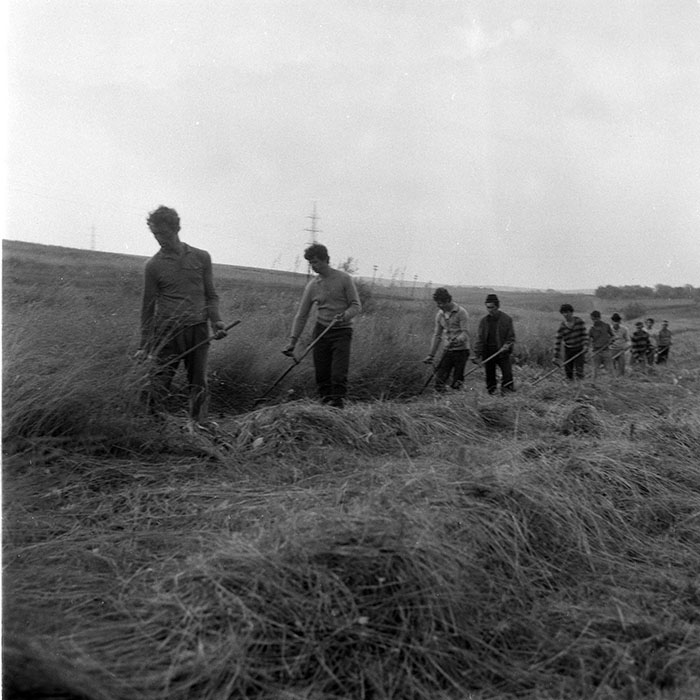 minerva_1985_c2_c1r2_004