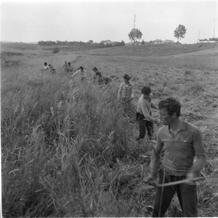 minerva_1985_c2_c1r2_005