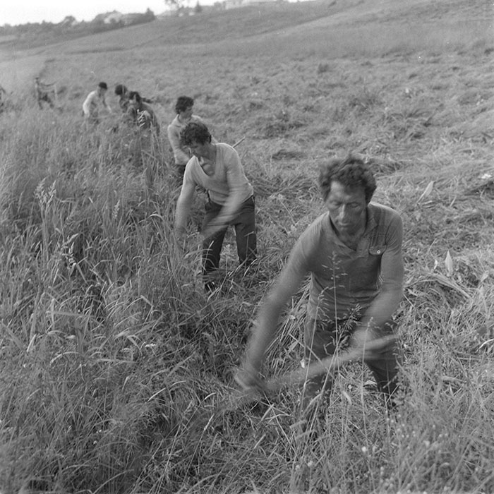 minerva_1985_c2_c1r2_006