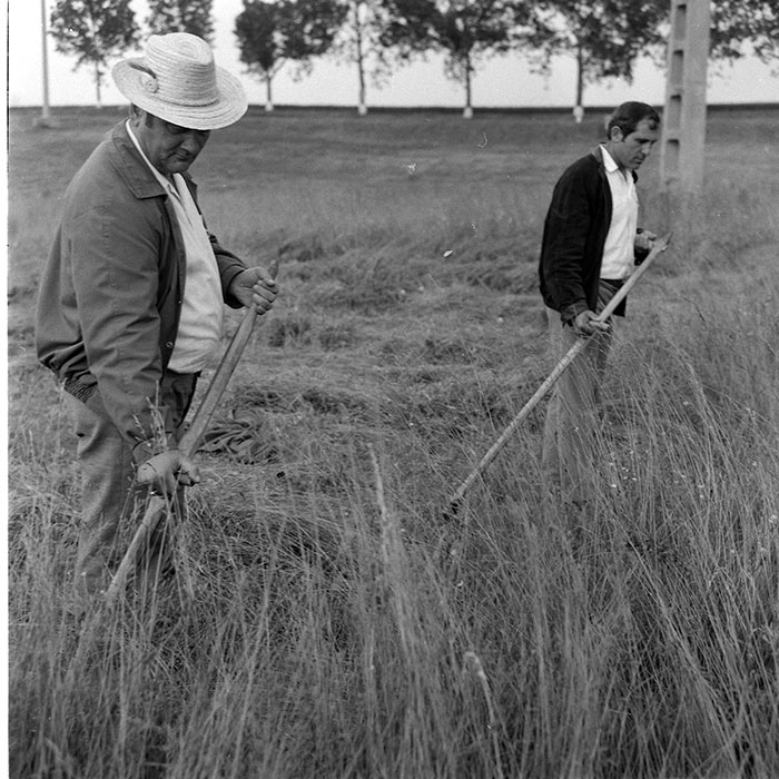 minerva_1985_c2_c1r2_007