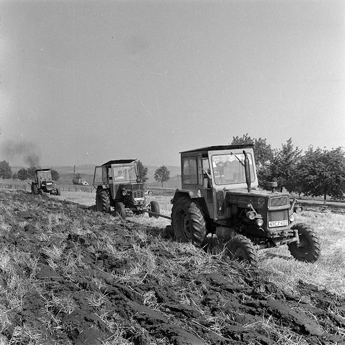 minerva_1985_c2_c1r2_010