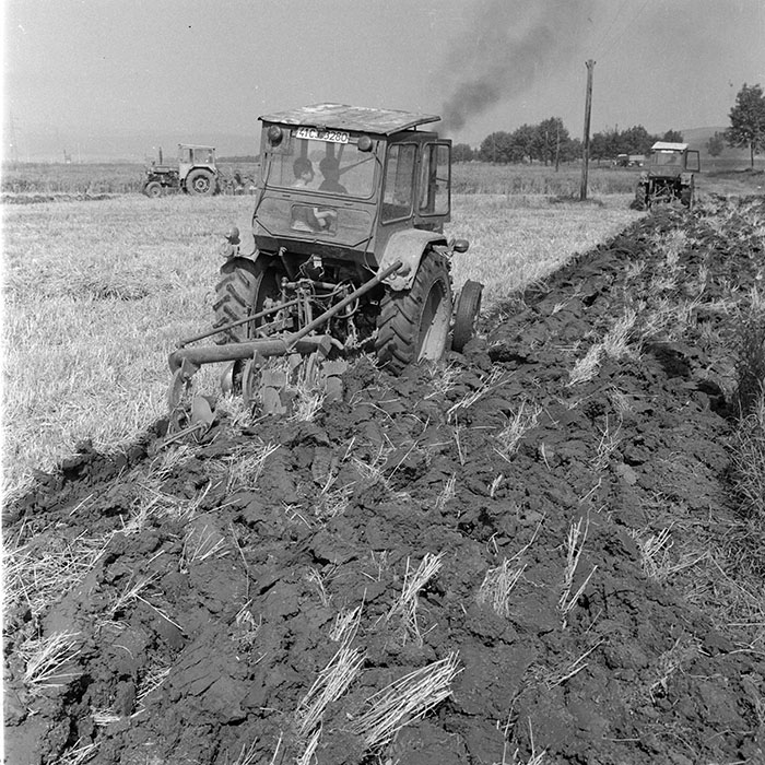 minerva_1985_c2_c1r2_011