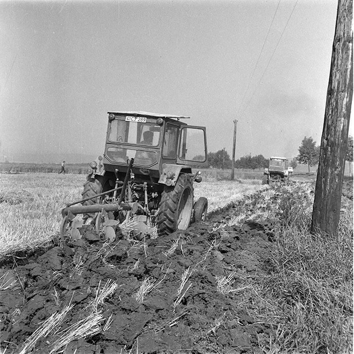 minerva_1985_c2_c1r2_012