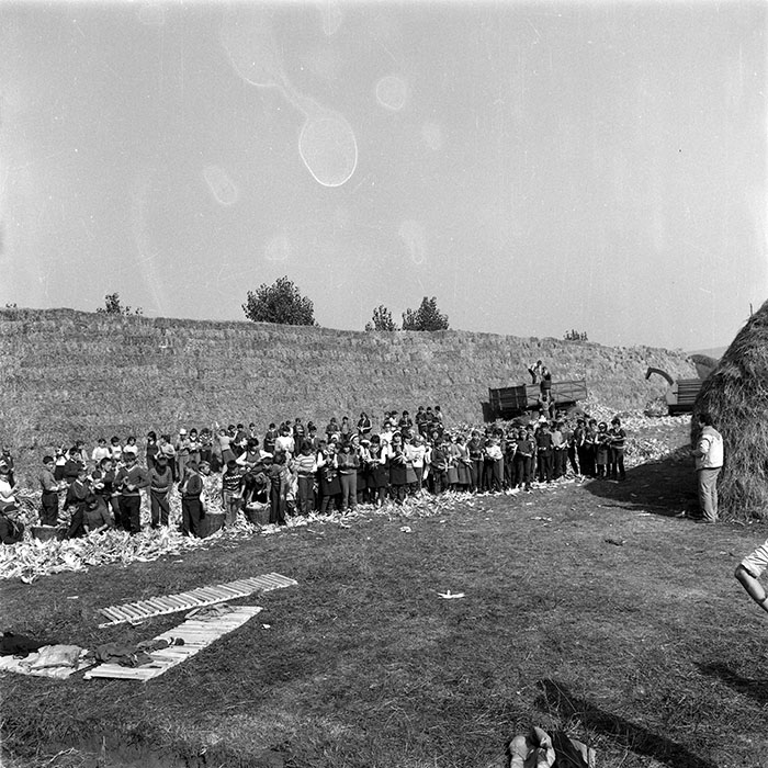 minerva_1985_c2_c1r3_001