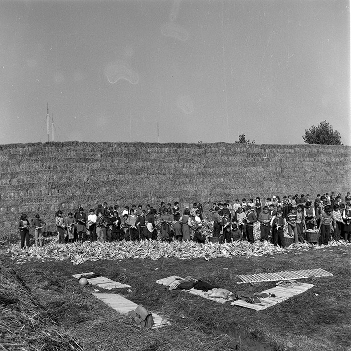 minerva_1985_c2_c1r3_002