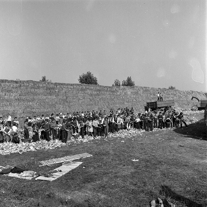 minerva_1985_c2_c1r3_004