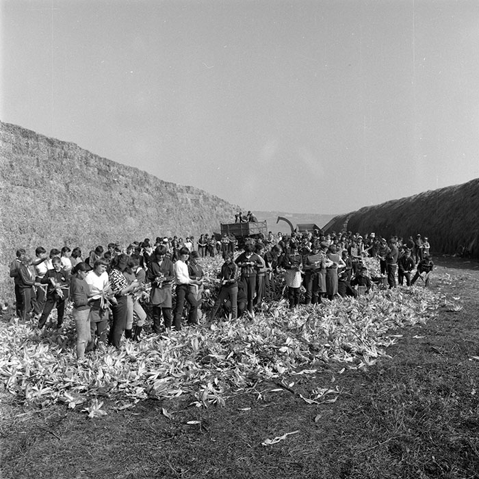 minerva_1985_c2_c1r3_005