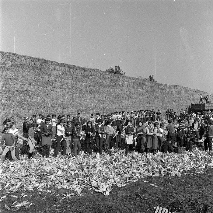 minerva_1985_c2_c1r3_006