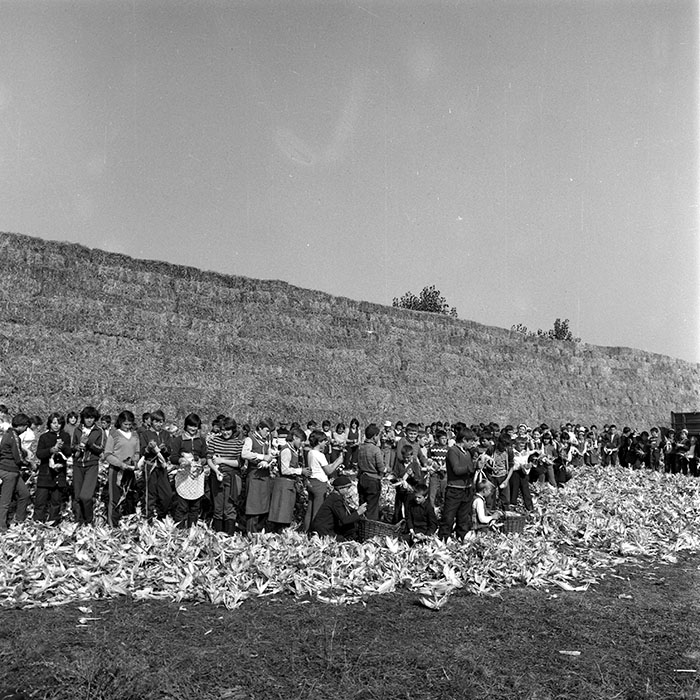 minerva_1985_c2_c1r3_008