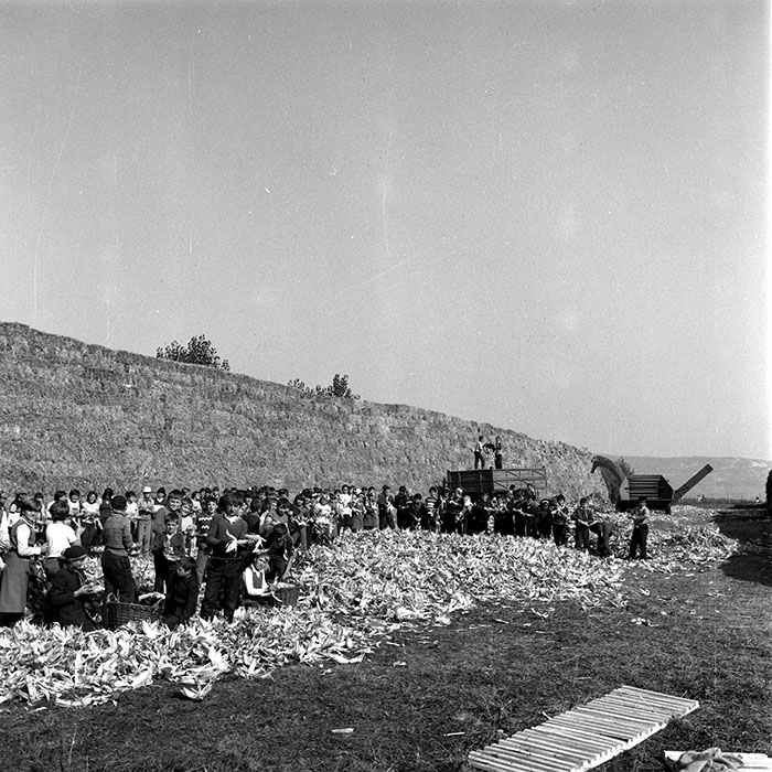 minerva_1985_c2_c1r3_009