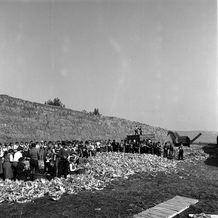 minerva_1985_c2_c1r3_010