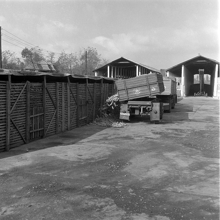 minerva_1985_c2_c1r3_011